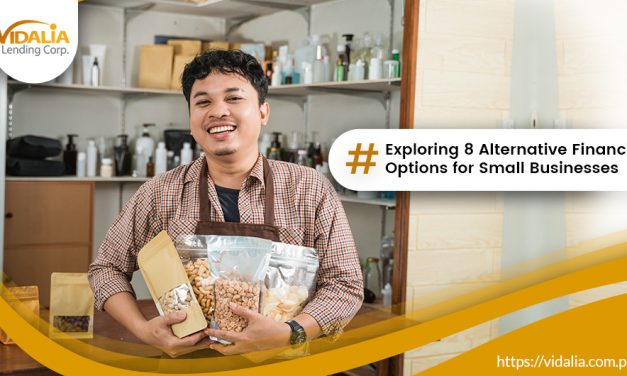 Exploring 8 Alternative Financing Options for Small Businesses