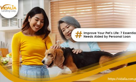Improve Your Pet’s Life: 7 Essential Needs Aided by Personal Loan
