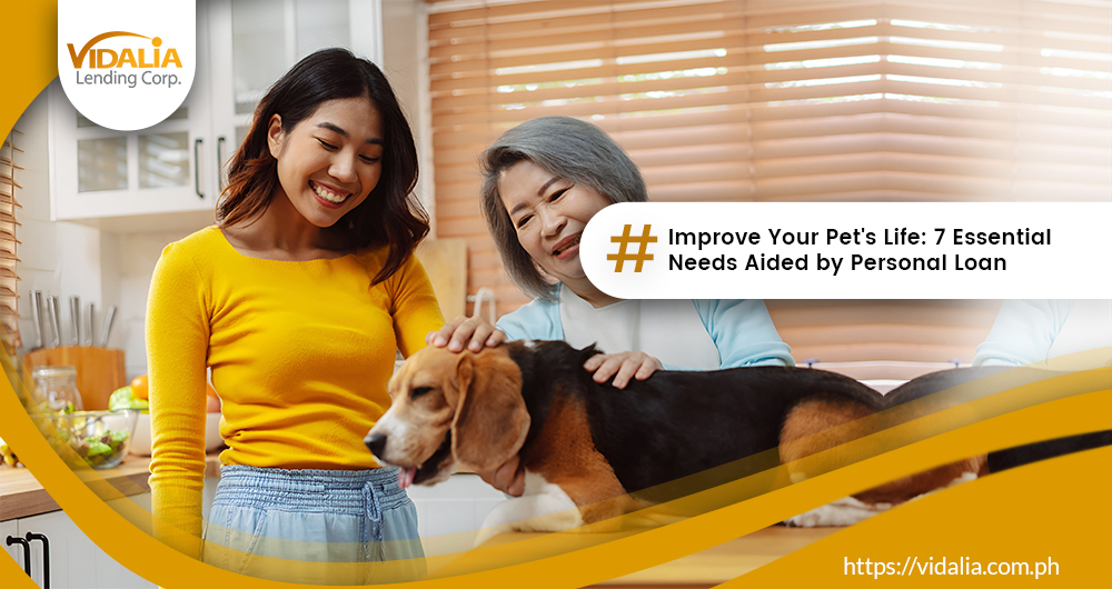Improve Your Pet’s Life: 7 Essential Needs Aided by Personal Loan